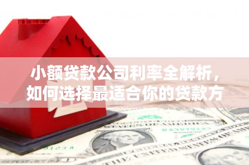 香坊小额贷款公司利率全解析，如何选择最适合你的贷款方案？
