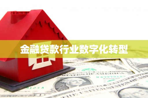成武金融贷款行业数字化转型
