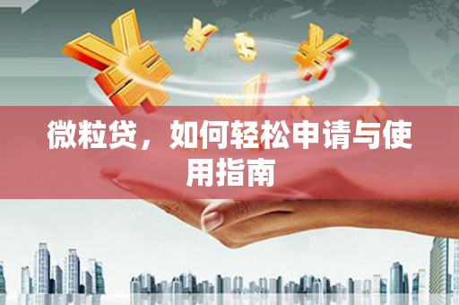 仓山微粒贷，如何轻松申请与使用指南