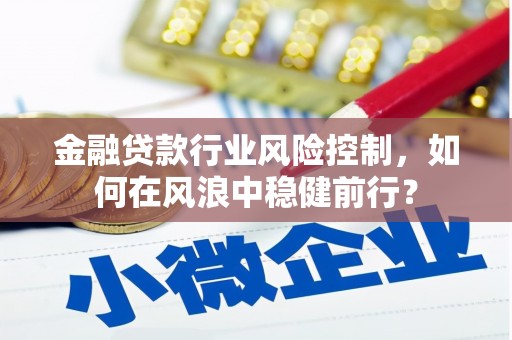 新庄金融贷款行业风险控制，如何在风浪中稳健前行？