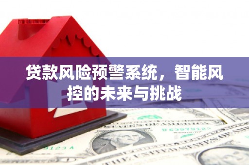苏仙贷款风险预警系统，智能风控的未来与挑战