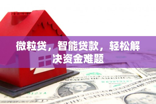 昭阳微粒贷，智能贷款，轻松解决资金难题